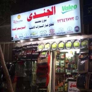 الصورة 1