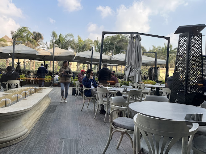 Ahwet Zeitouna Egypt