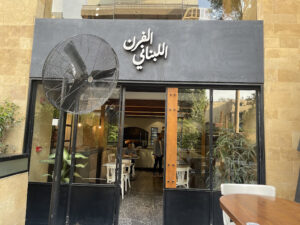 الصورة 1