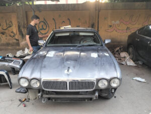 الصورة 1