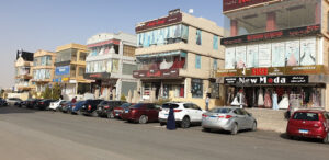 الصورة 1