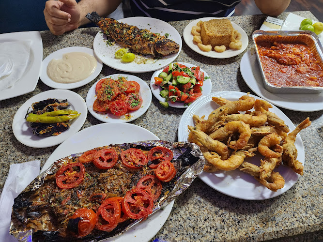 أسماك النيل الجديد