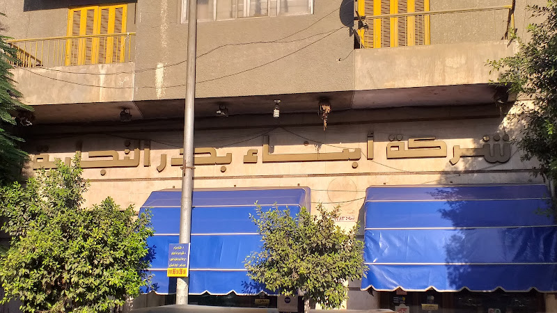 أبناء بدر للتجارة