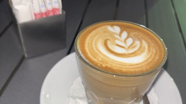 Google Photo 5