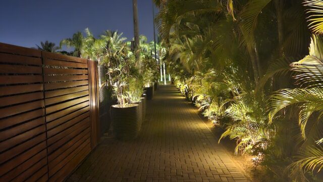 Google Photo 10