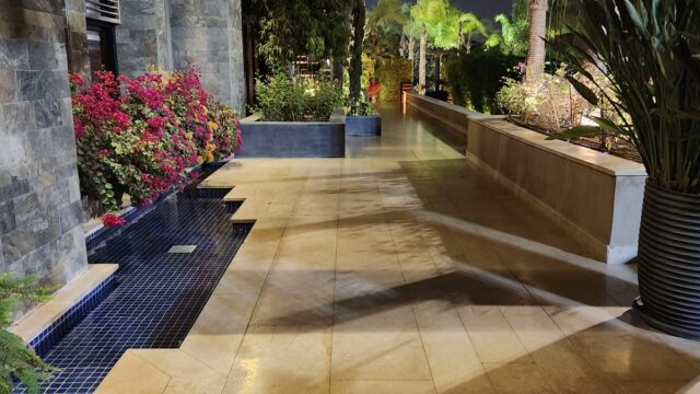 Google Photo 7