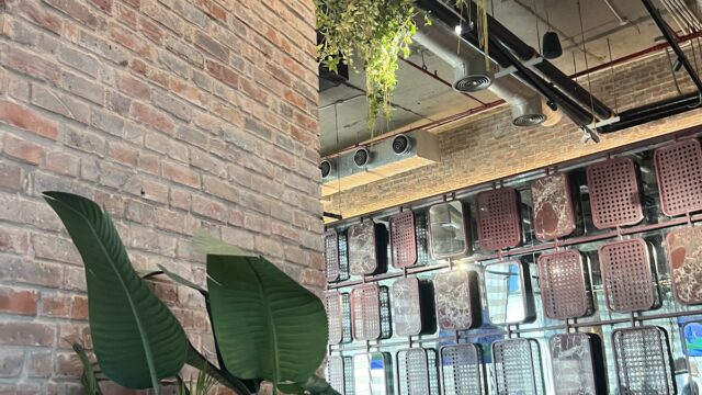 Google Photo 3