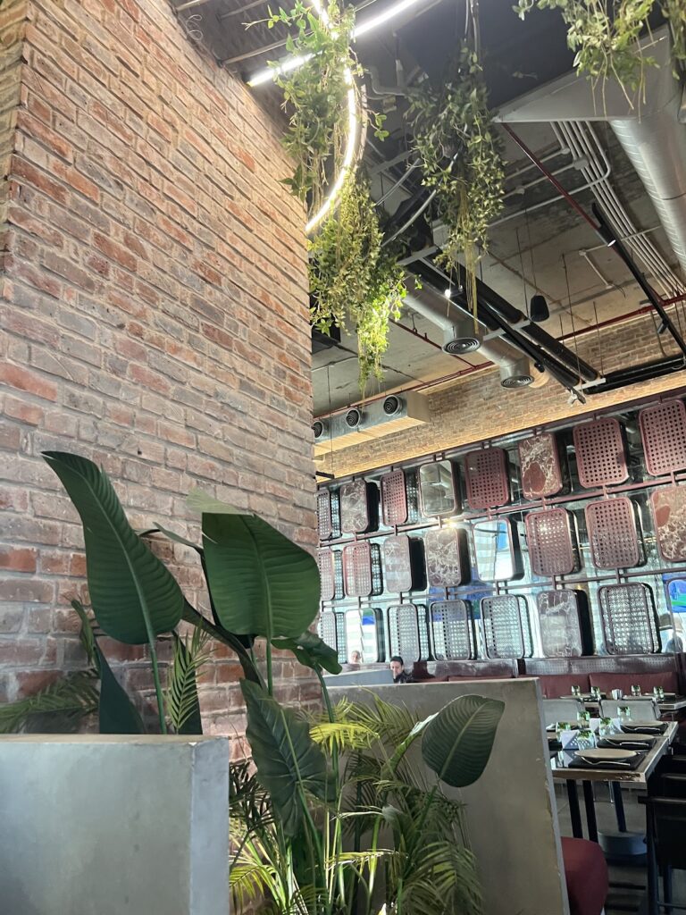 Google Photo 3