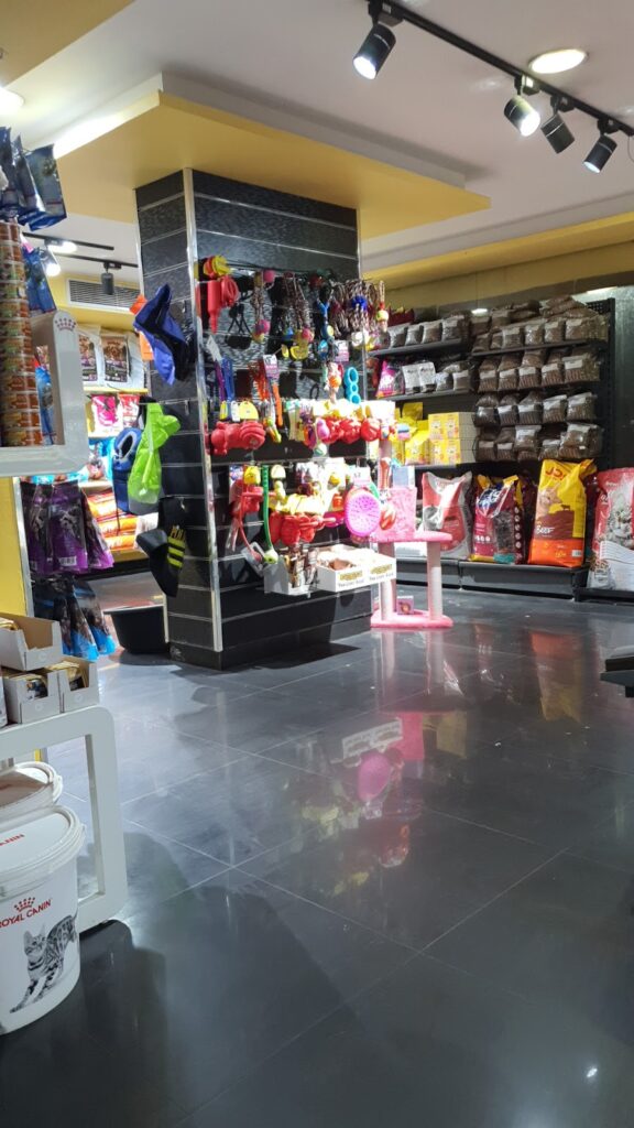 Google Photo 8