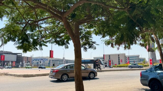 Google Photo 9