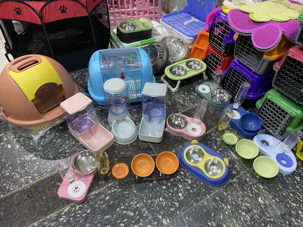 Google Photo 7
