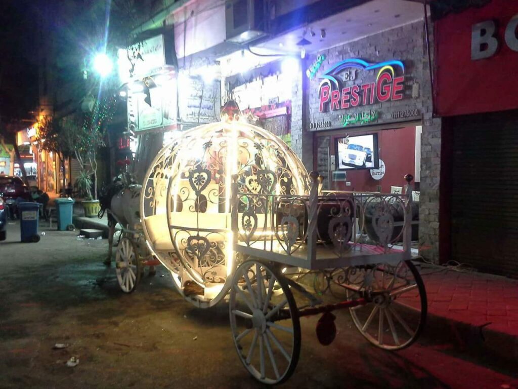 Google Photo 7