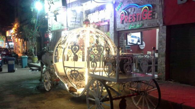 Google Photo 7