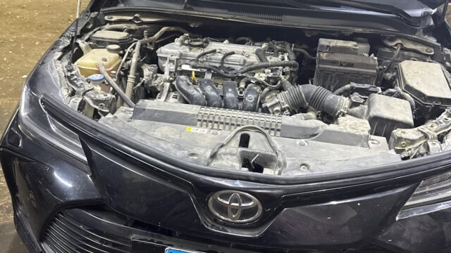 Google Photo 9