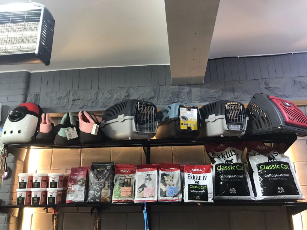 Google Photo 7