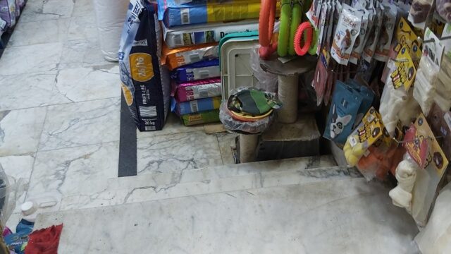 Google Photo 5