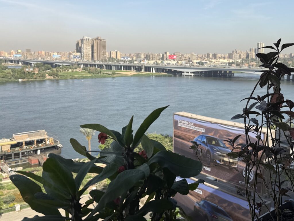 Google Photo 5