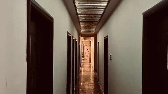 Google Photo 5
