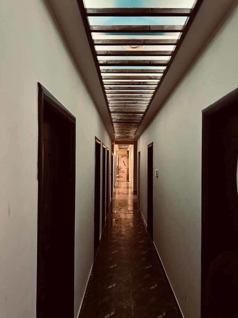 Google Photo 5
