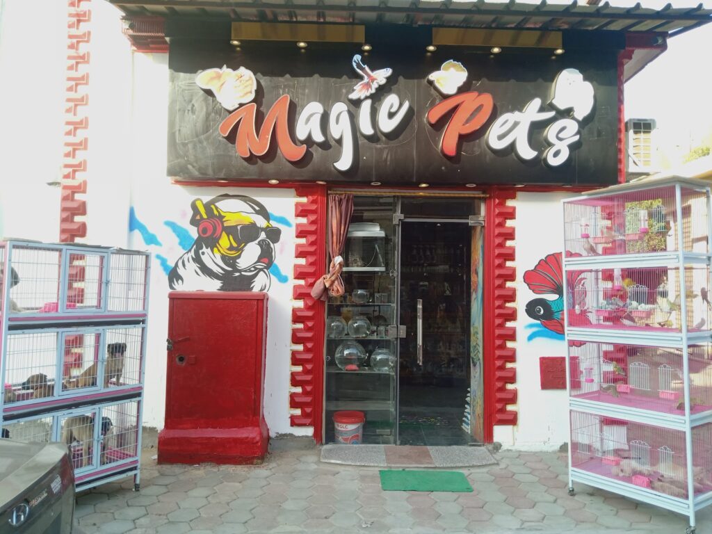 Google Photo 1