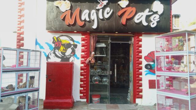 Google Photo 1
