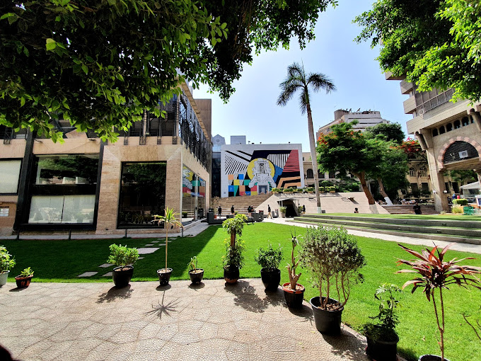 Google Photo 2