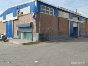 Photo 5
