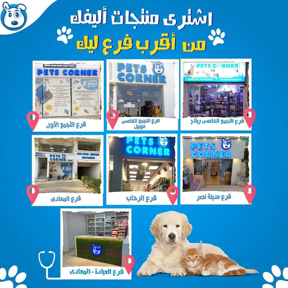 Google Photo 10