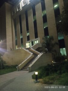 الصورة 7