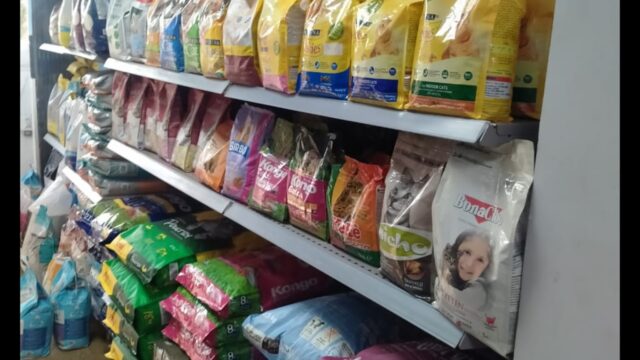 Google Photo 7