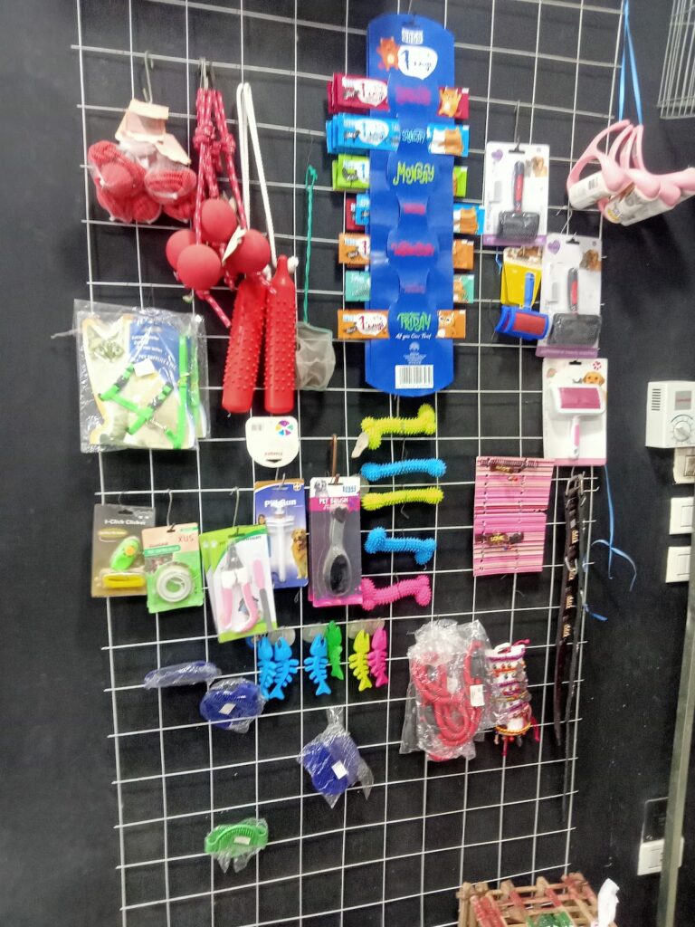 Google Photo 8