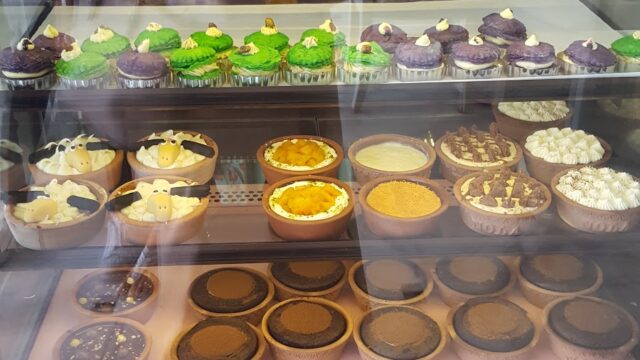 Google Photo 8