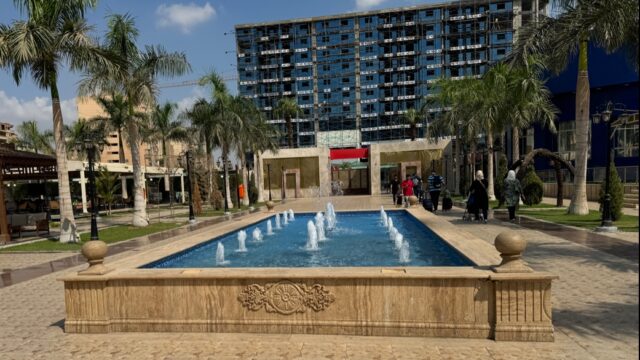 Google Photo 8