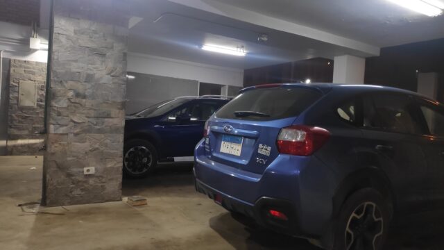 Google Photo 2