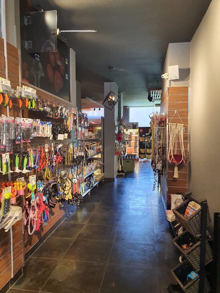 Google Photo 3