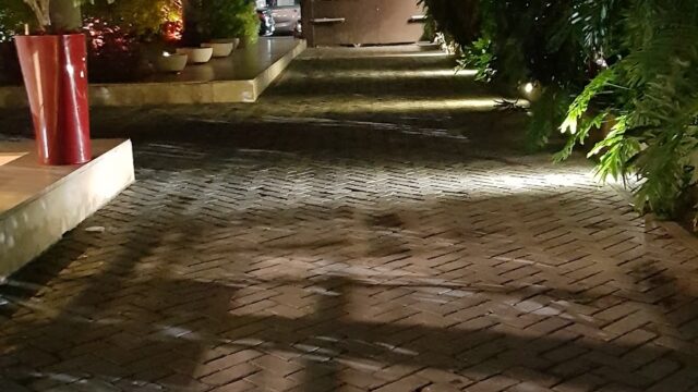 Google Photo 8