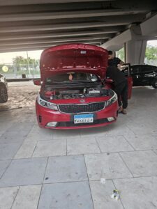 الصورة 10