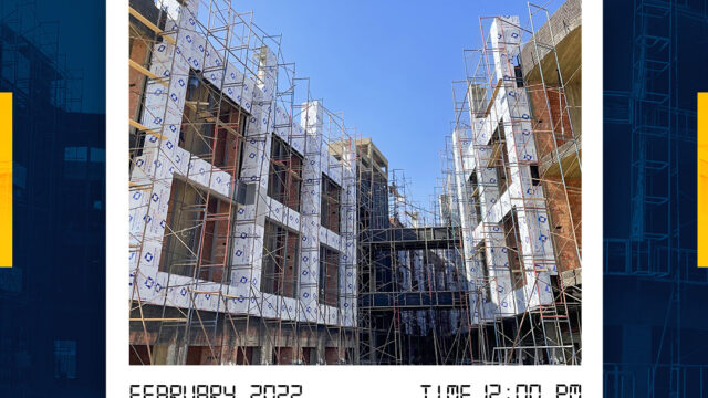 Google Photo 6