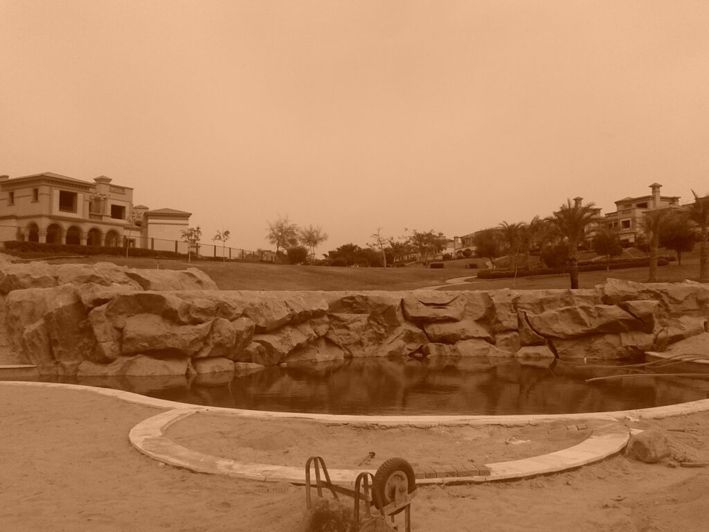 Google Photo 3