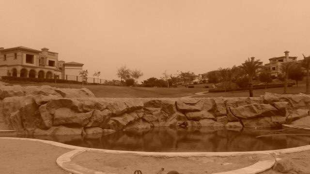 Google Photo 3