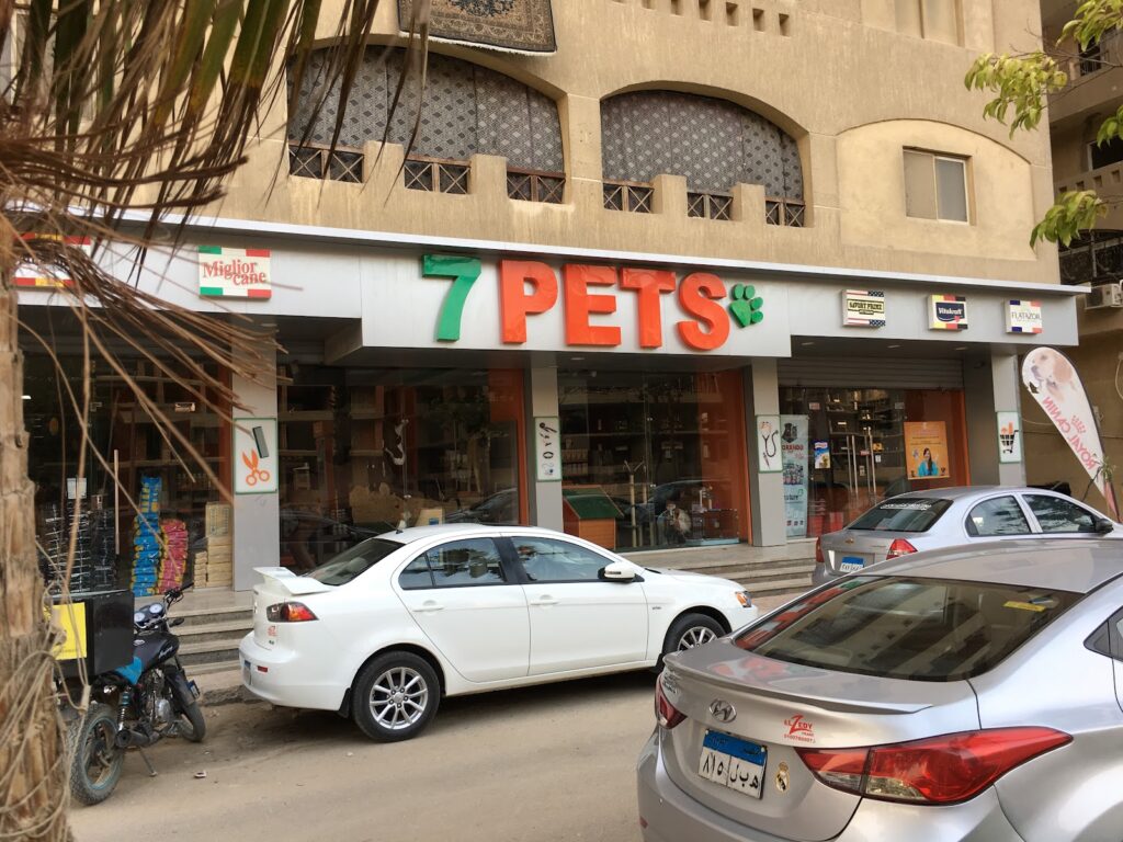 7 حيوانات أليفة