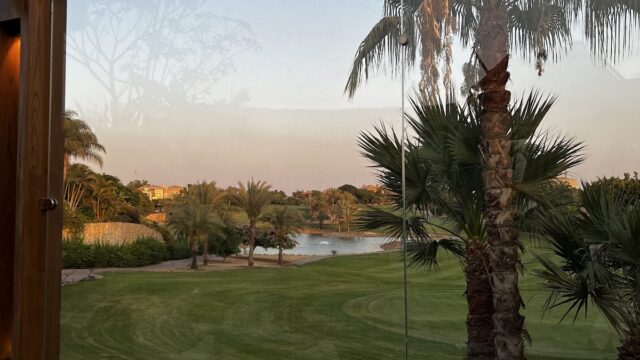 Google Photo 5