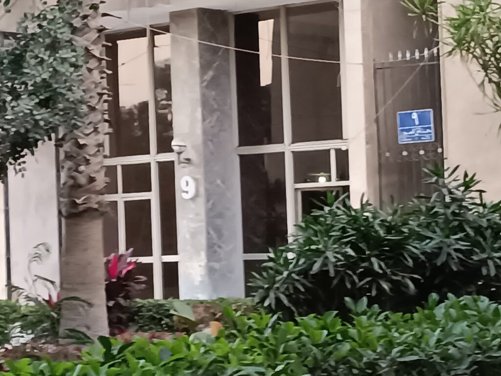 Google Photo 2
