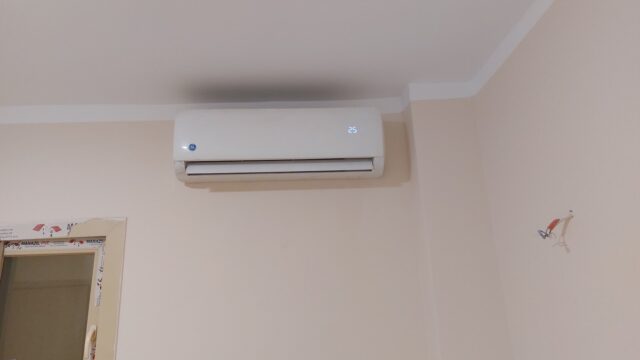 Google Photo 8