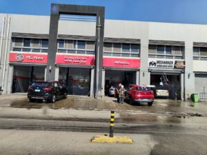 الصورة 3