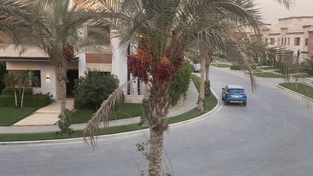 Google Photo 8