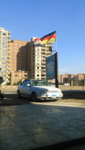 الصورة 6