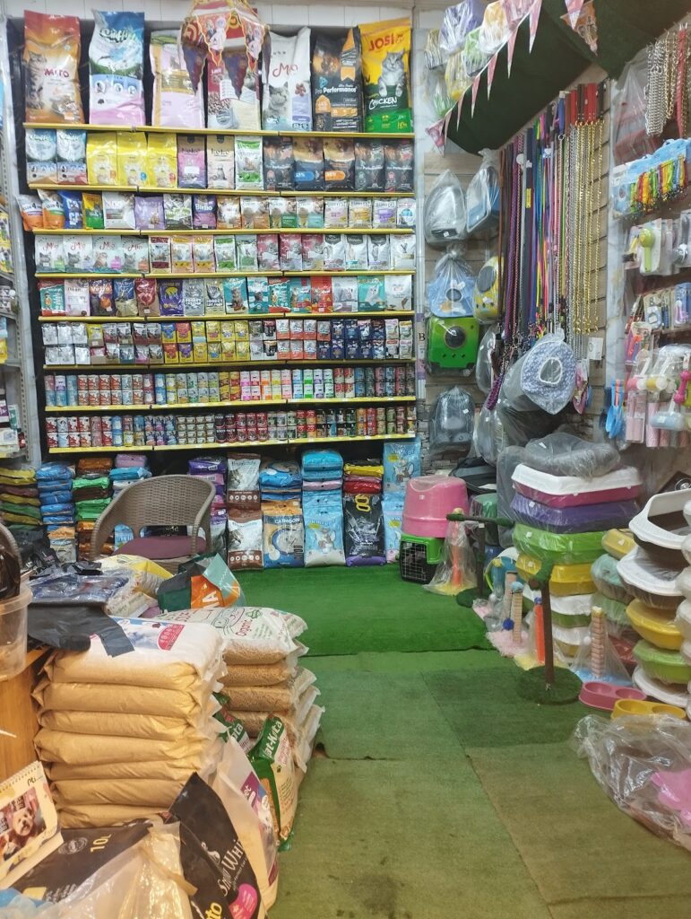 Google Photo 3