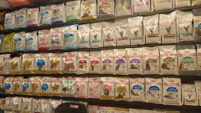 Google Photo 5