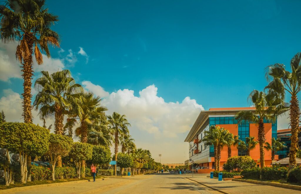 Google Photo 8